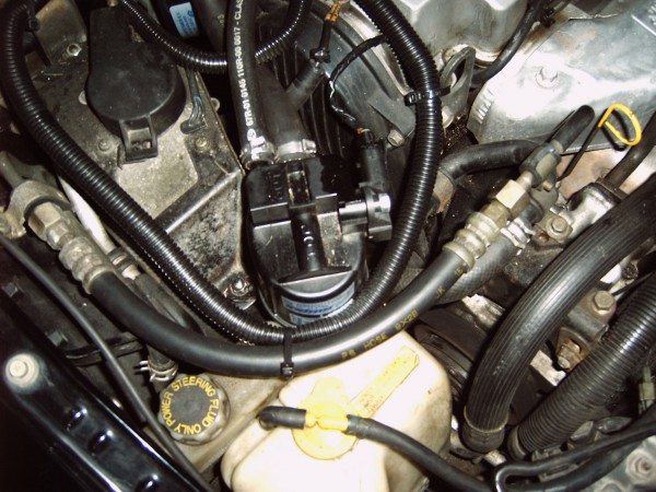 IMG00003.JPG (494.37 KiB) 13792 mal betrachtet IMG00003.JPG