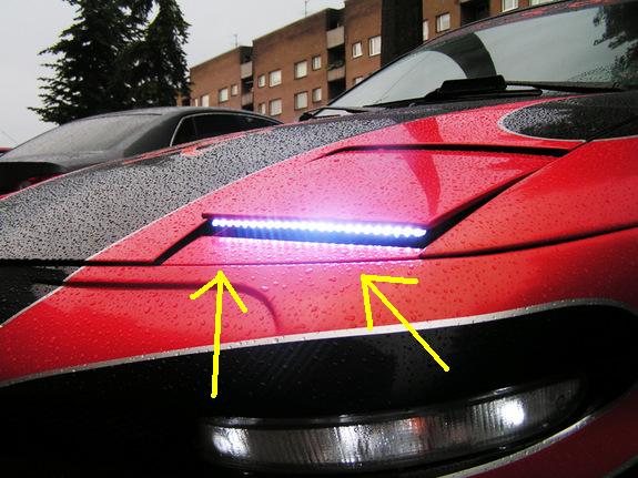 29497370075_large.jpg