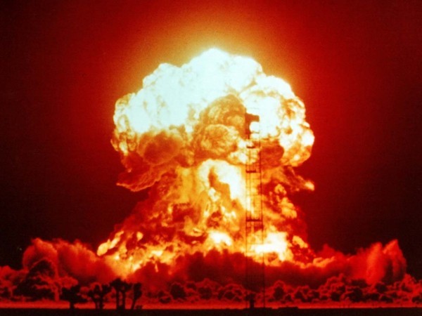 atompilz.jpg