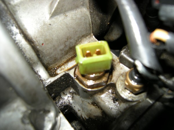 Probe 1 GT Thermostatgehäuse 003.jpg