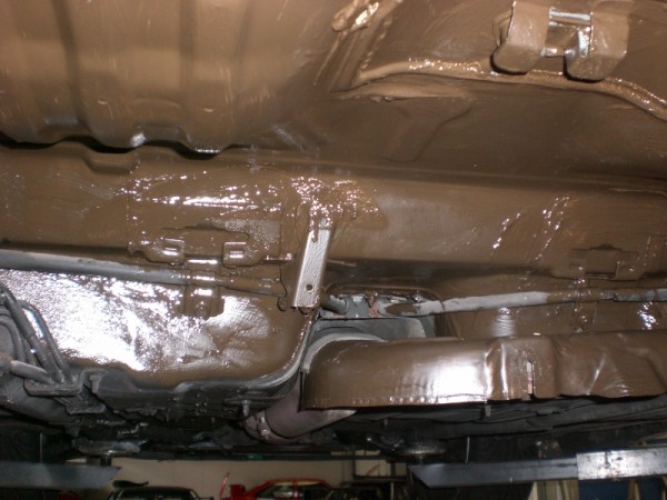 CIMG6373 (800x600).jpg