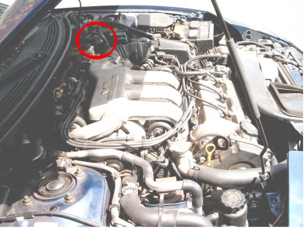 motor.JPG