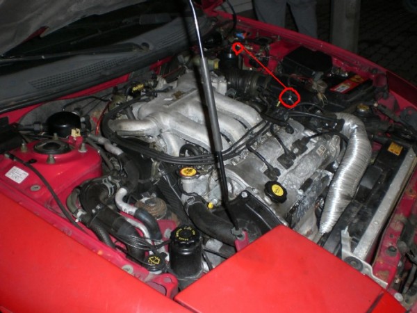 CIMG1794.JPG