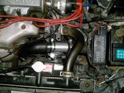 BOV.JPG