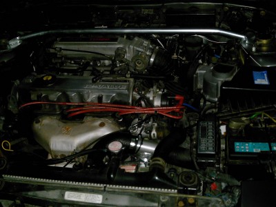 BOV2.JPG
