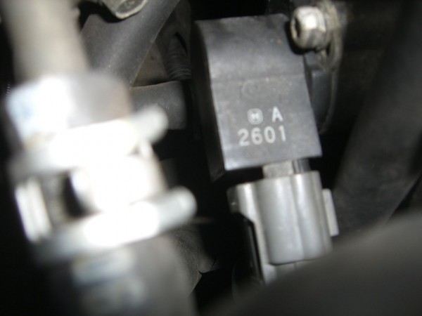 Bild 1177.jpg