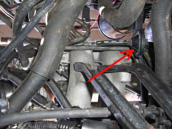 LX 005.jpg