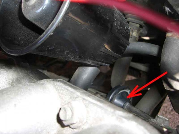 LX 007.jpg