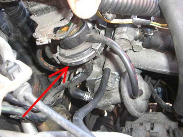 LX 008.jpg