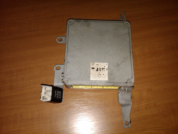 IMG00368-20090609-1107.jpg
