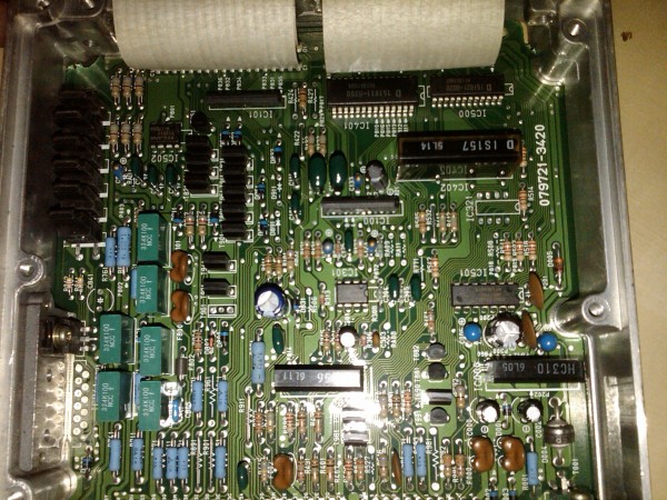IMG00379-20090611-1931.jpg