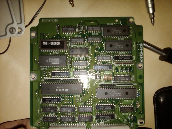 IMG00380-20090611-1931.jpg