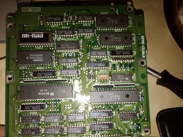 IMG00381-20090611-1932.jpg