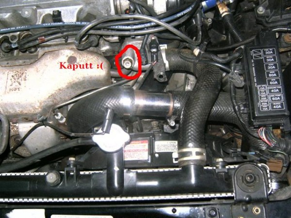 bild0063.jpg