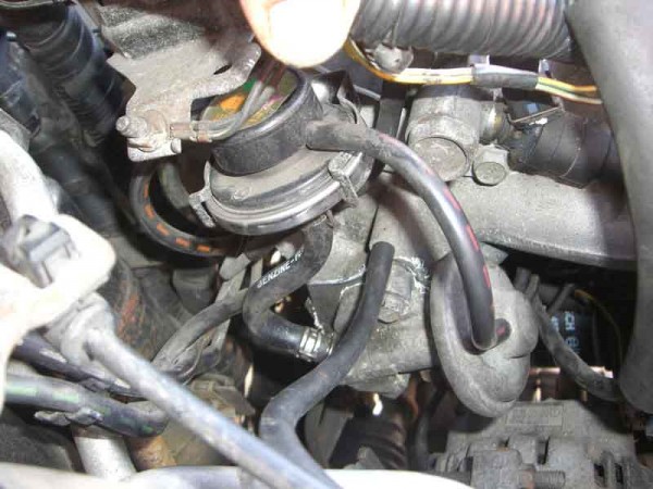 LX 008.jpg