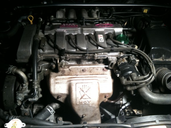 IMG_0023.jpg (919.62 KiB) 9936 mal betrachtet IMG_0023.jpg