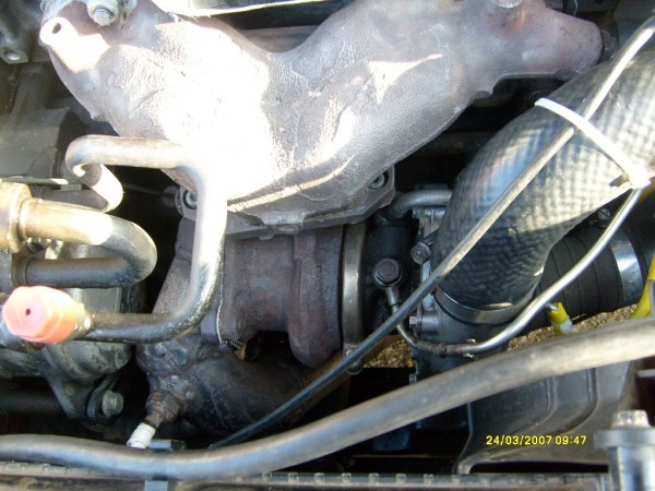 S6305970.JPG