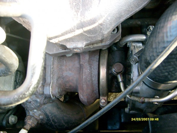 S6305969.JPG