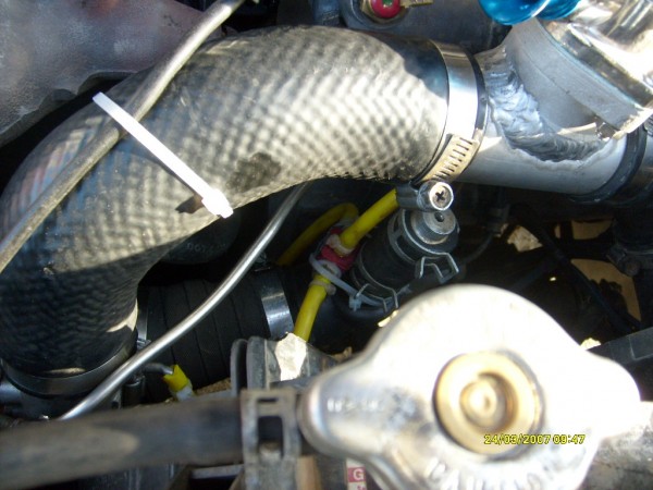 S6305972.JPG