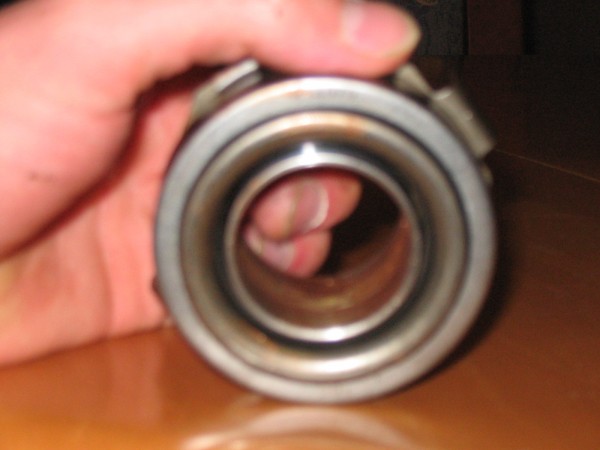 005.JPG