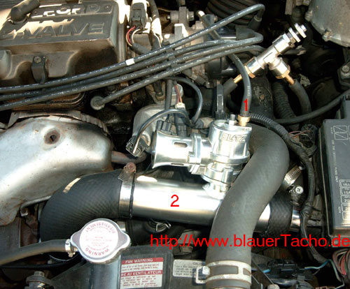 bov-probe.jpg