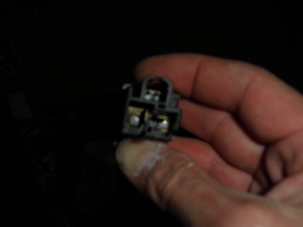 PA210409.JPG