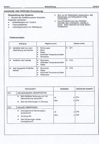 03-03-5.JPG