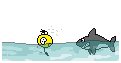 :hai: